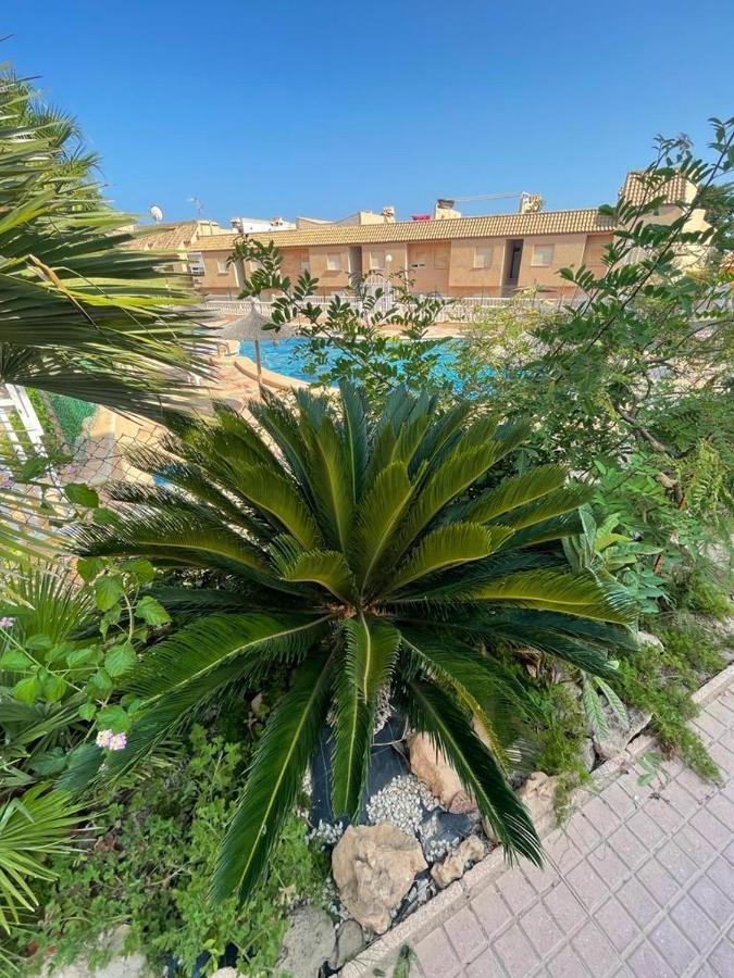 Apartament La Mata 또레비에하 외부 사진